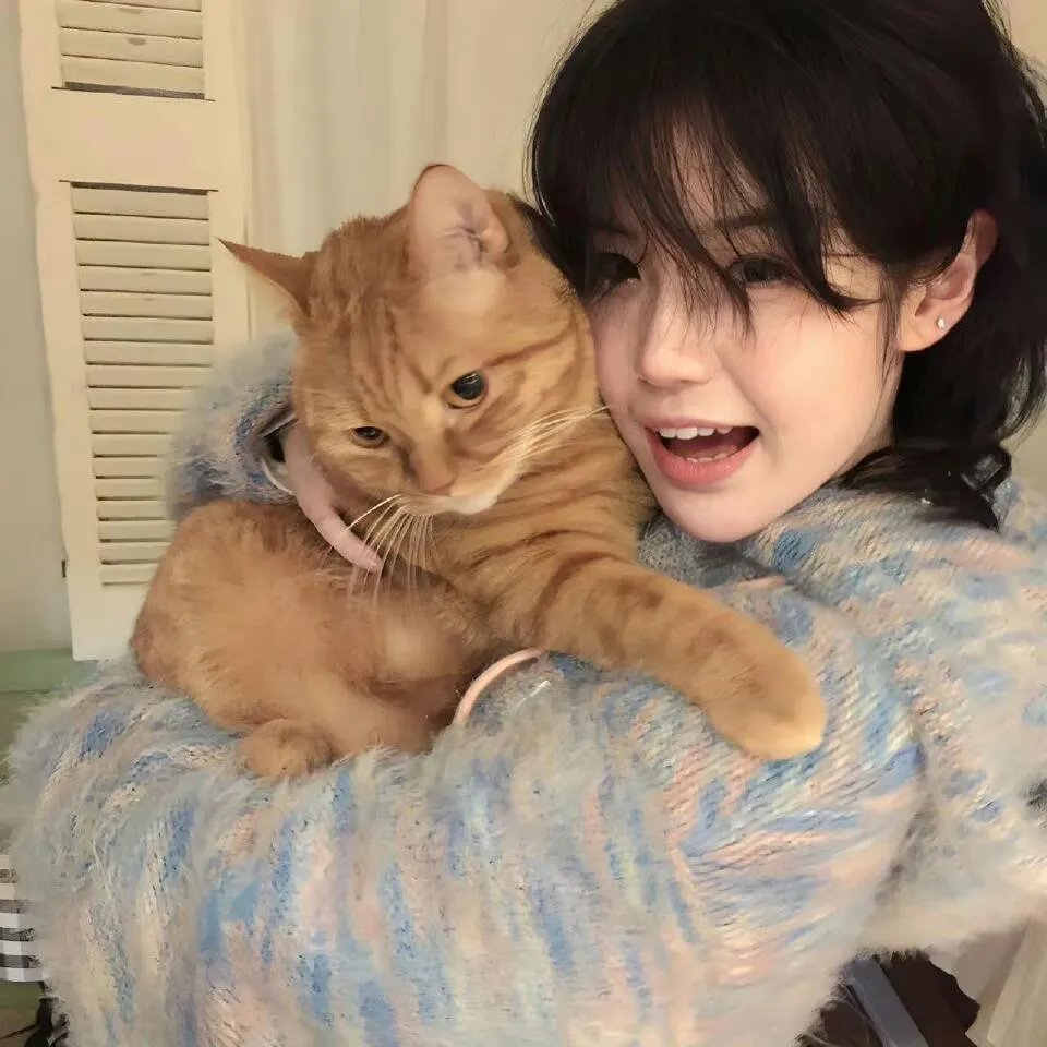 飙速宅男 SPECIAL RIDE